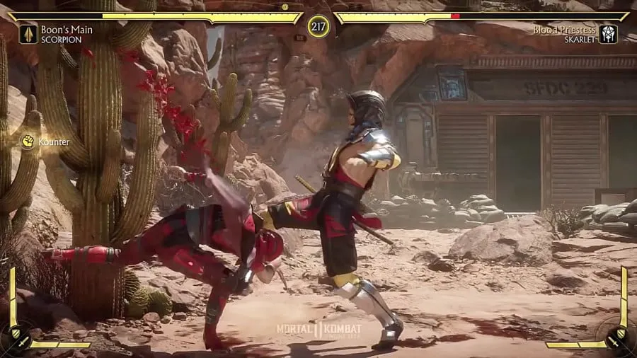 Mortal Kombat 11 game on PC