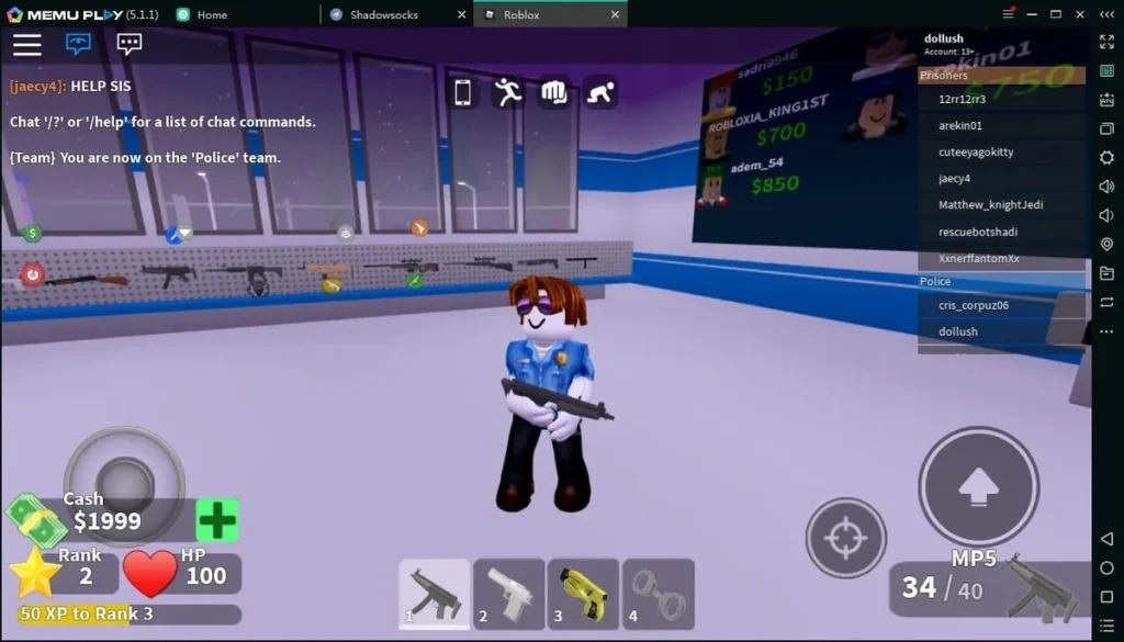 Roblox Game PC