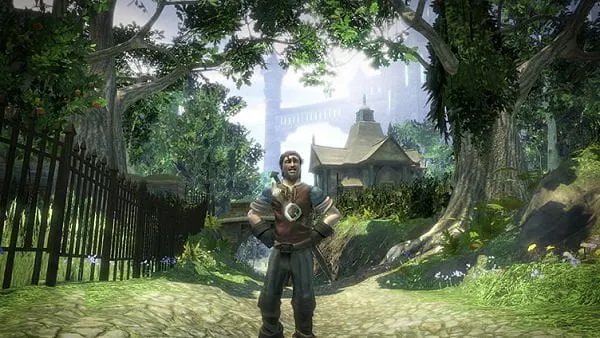 Fable 2 on PC
